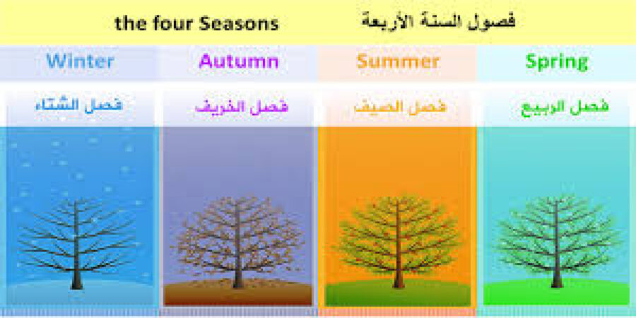 نبذه عن فصول السنة الأربعة